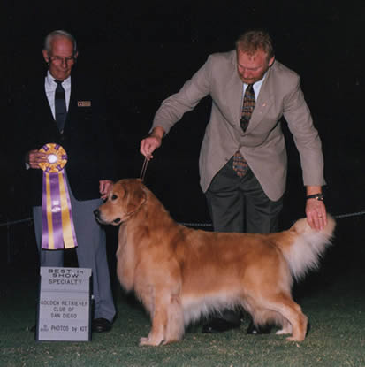 dog canine cancer research donate to fund cancer research, The National Canine Cancer Foundation dedicated to eliminating cancer in dogs , fund cancer research grants, save lives, find cures, better treatments, and accurate, inexpensive cancer screeing methods for dogs with cancer, cancer, dogs, canine, pet cancer, cancer in dogs, donate to dog cancer research, pink paw