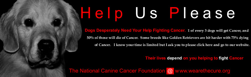  Pet Cancer- Spread Awareness