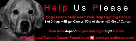 National Canine Cancer Foundation