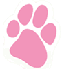 pink paw fights cancer in dogs