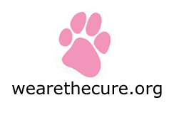 National Canine Cancer Foundation