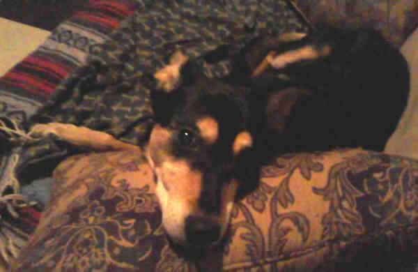 Annie died of Cancer