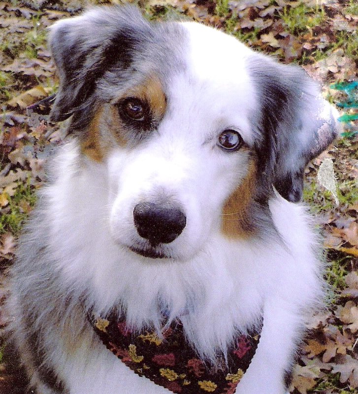 Jack