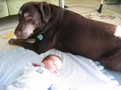 Nick who died of cancer