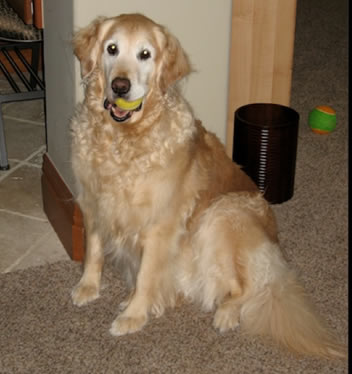 River died of lymphoma Cancer