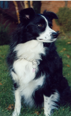 sydney who died of Cancer