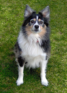 Tess died of Cancer