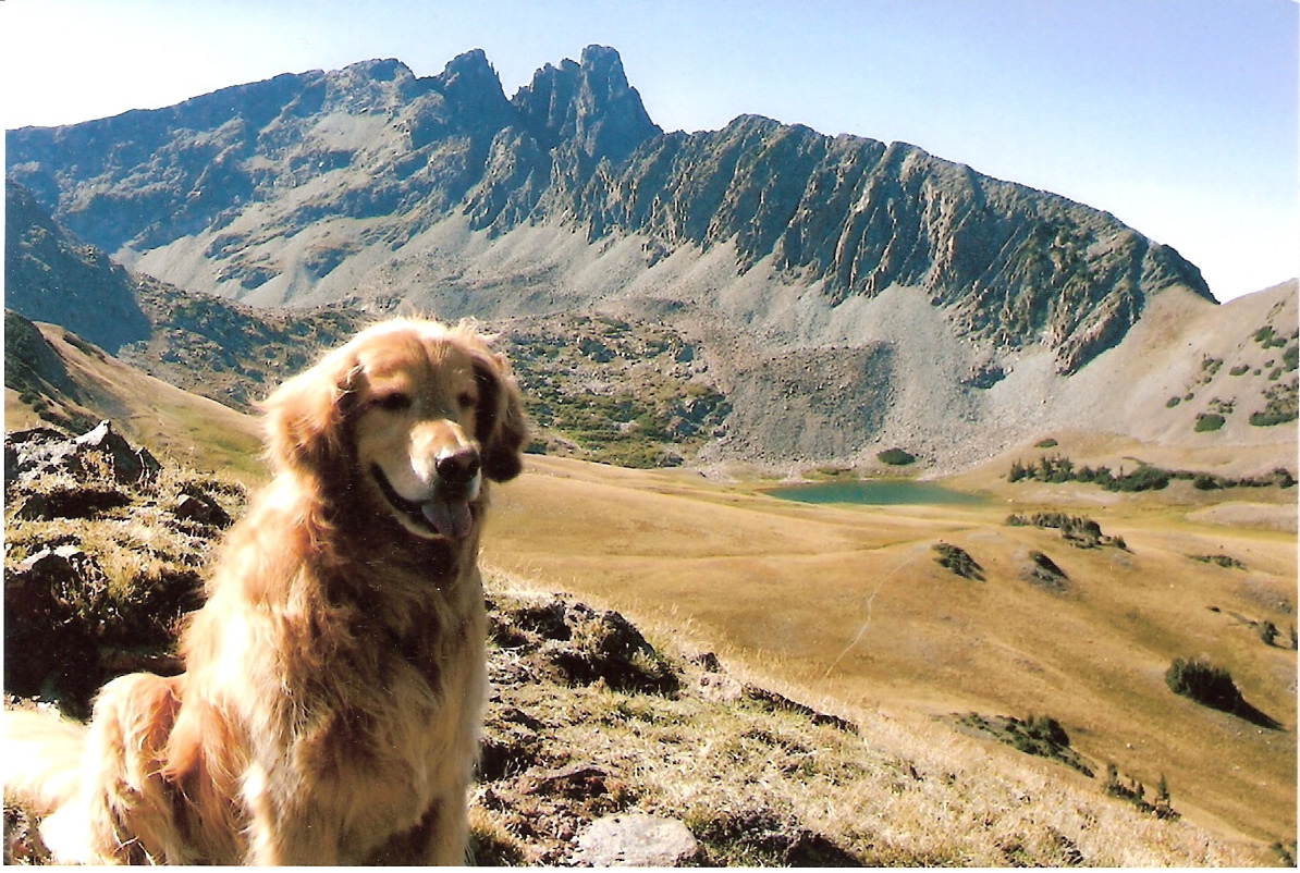 Darby