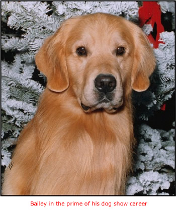 Bailey
